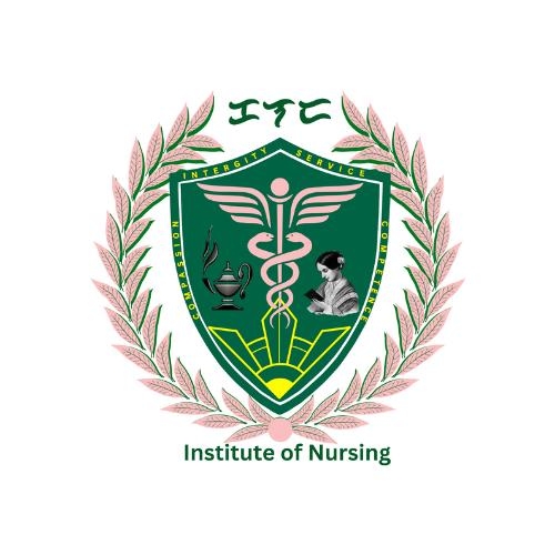 Institute of Nursing Logo